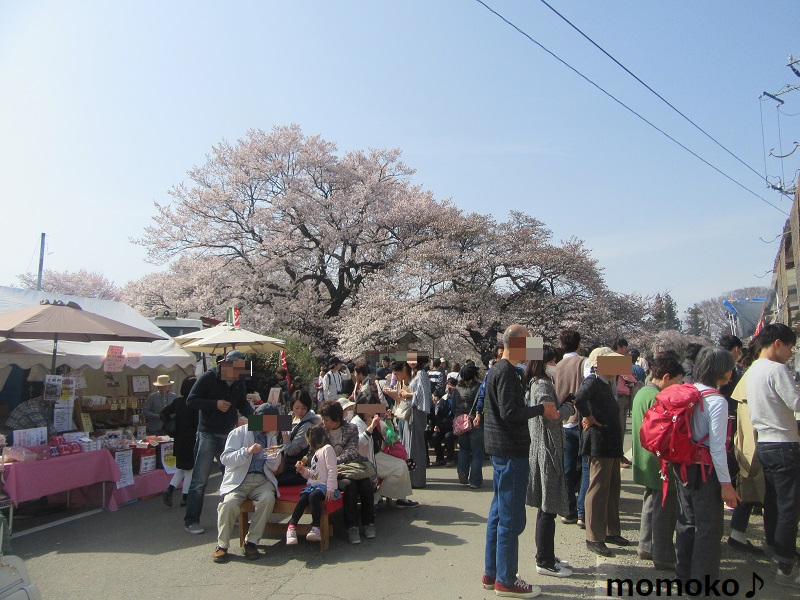 神代桜祭りの様子